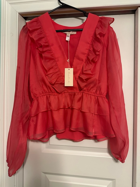 Hutch Tops - Anthropologie Hutch Pink Chiffon Sheer Ruffle Blouse Top Ballon Sleeve Sz L NEW